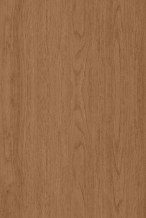 ModernWood Texture