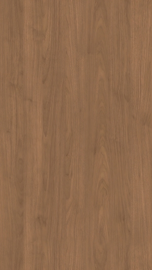 ModernWood Texture