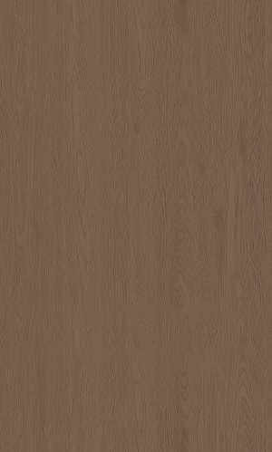 ModernWood Texture