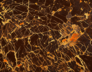ModernMarble Tiles