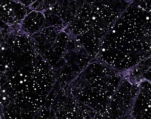 ModernMarble Tiles