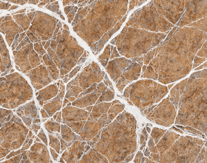 ModernMarble Tiles