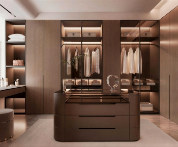 Modern Clothes Storage Area-ID:502012019
