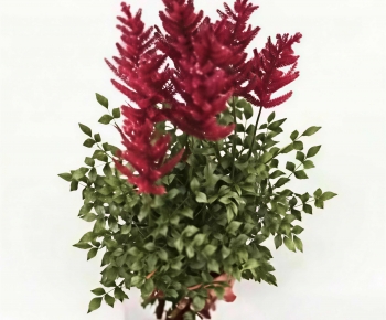 Modern Flowers-ID:425931935