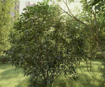 Modern Shrubbery-ID:772752052