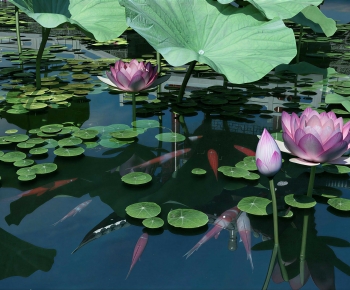 Chinese Style Landscape-ID:258493901