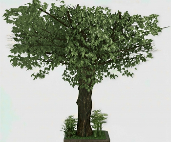 Modern Tree-ID:782339631