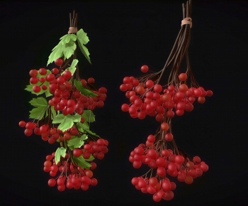 Modern Plant-ID:371694095