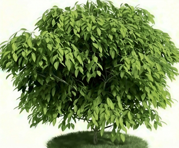 Modern Shrubbery-ID:939224007