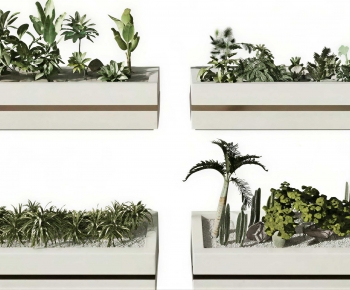Modern Flower Bed, Flower Bowl, Flower Box-ID:542963981