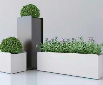 Modern Flower Bed, Flower Bowl, Flower Box-ID:109577894