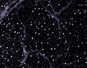 ModernMarble Tiles