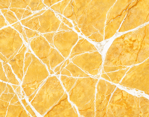 ModernMarble Tiles