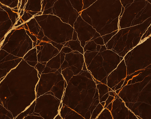 ModernMarble Tiles