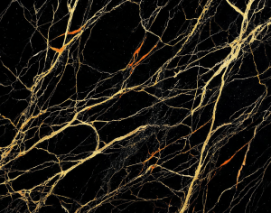 ModernMarble Tiles