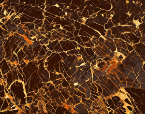 ModernMarble Tiles