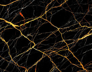 ModernMarble Tiles