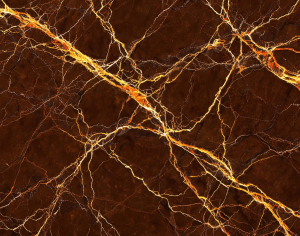 ModernMarble Tiles