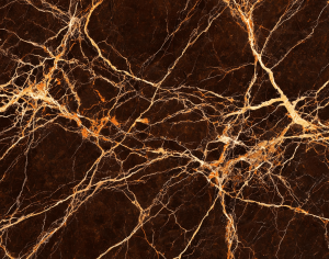 ModernMarble Tiles