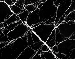 ModernMarble Tiles