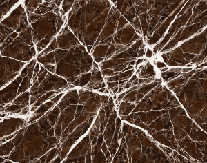 ModernMarble Tiles