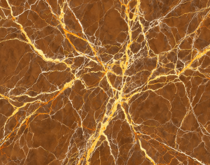 ModernMarble Tiles