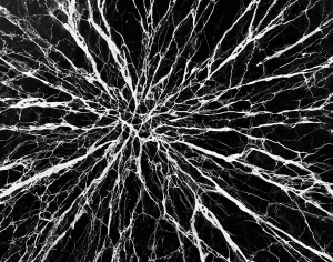 ModernMarble Tiles