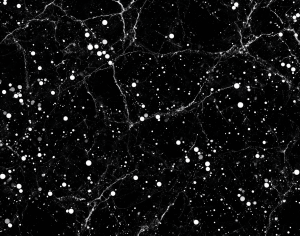 ModernMarble Tiles