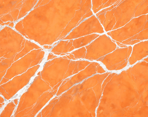 ModernMarble Tiles