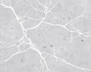 ModernMarble Tiles