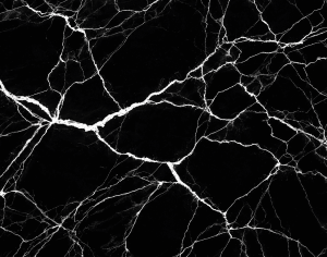 ModernMarble Tiles