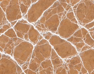 ModernMarble Tiles