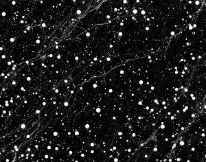 ModernMarble Tiles