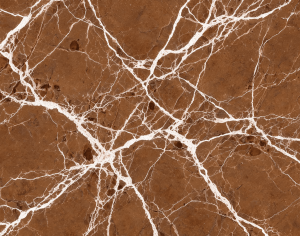 ModernMarble Tiles