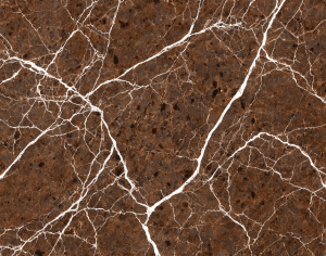 ModernMarble Tiles