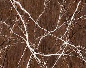ModernMarble Tiles