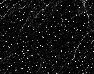 ModernMarble Tiles