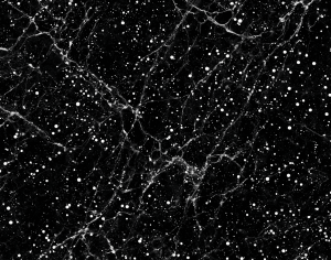 ModernMarble Tiles