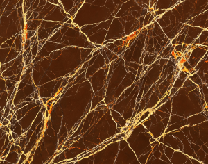 ModernMarble Tiles