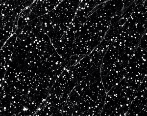 ModernMarble Tiles