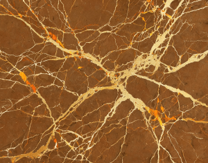ModernMarble Tiles