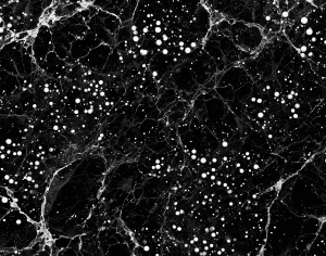 ModernMarble Tiles