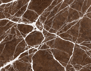ModernMarble Tiles