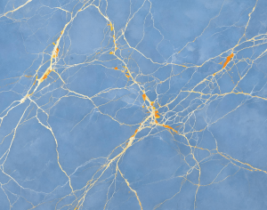 ModernMarble Tiles