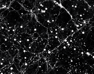 ModernMarble Tiles