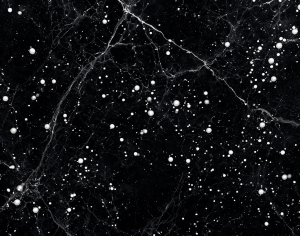 ModernMarble Tiles