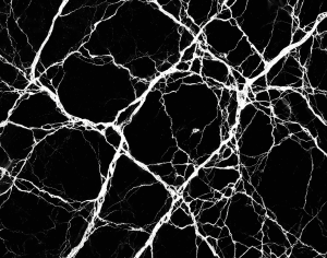 ModernMarble Tiles