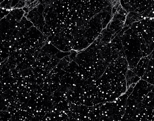 ModernMarble Tiles