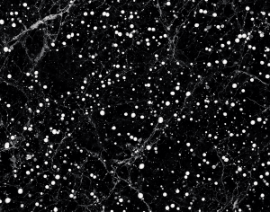 ModernMarble Tiles
