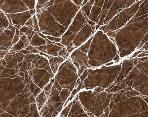 ModernMarble Tiles